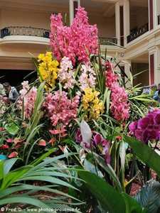 festival des orchidées 2020 à Menton